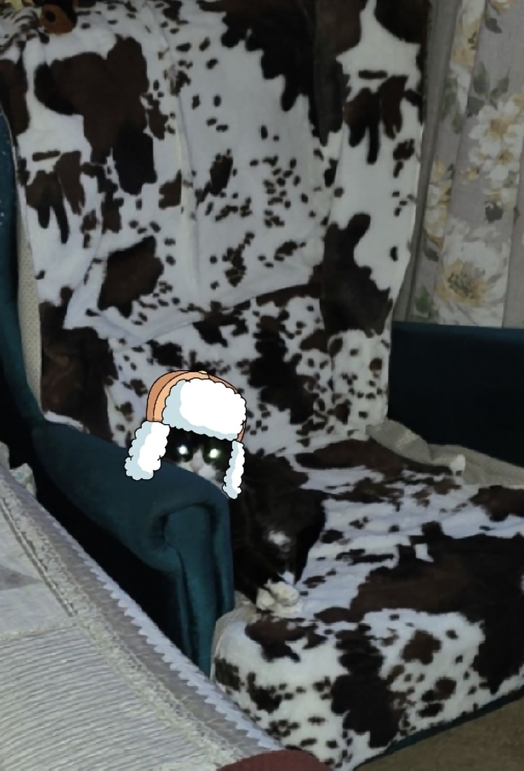 Комната с мебелью в узоре как у коровской шкуры, на кресле и полу лежит животное, спрятавшееся под одеялом/пледом.