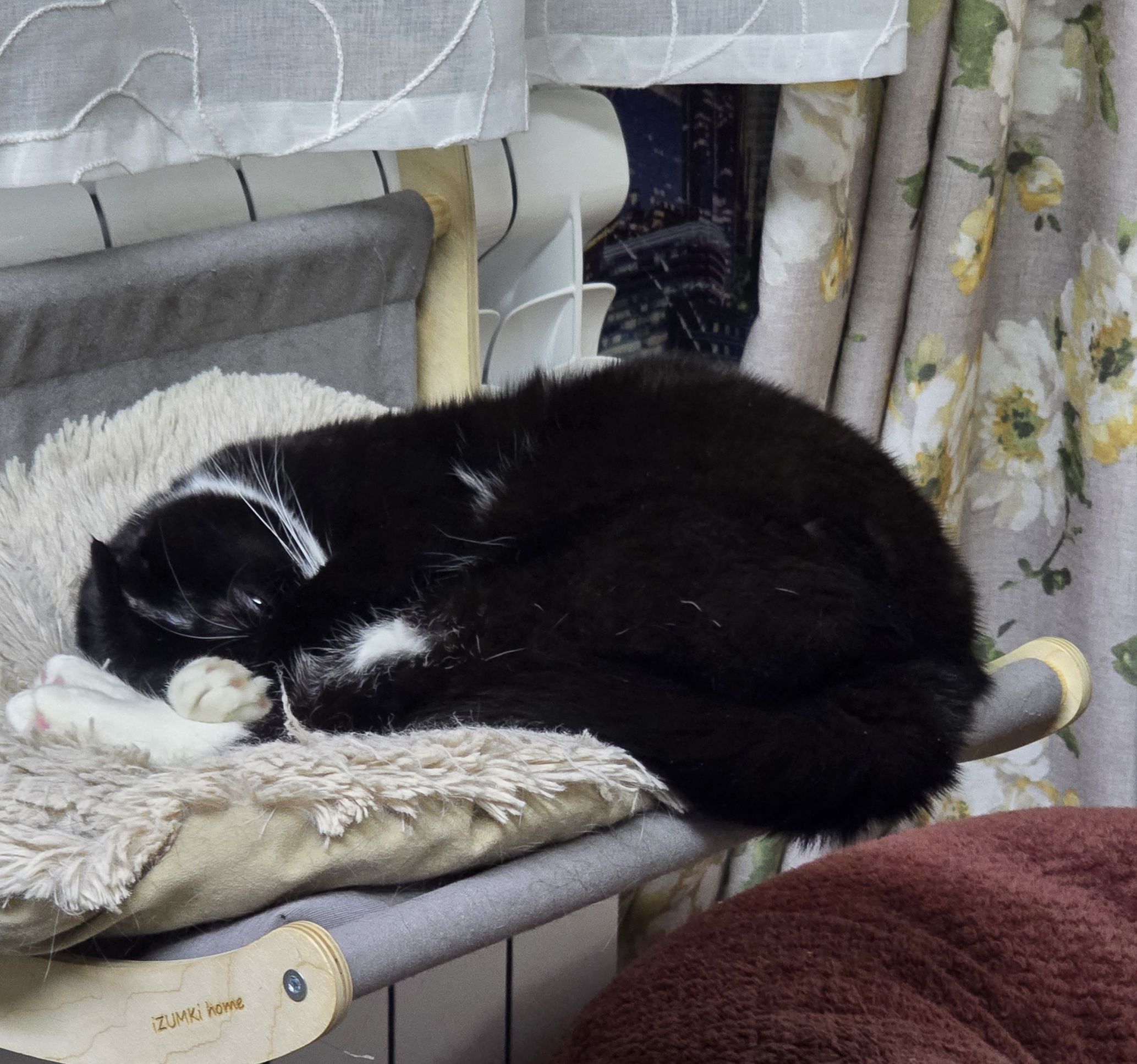 Черный кот спит на подушке возле радиатора