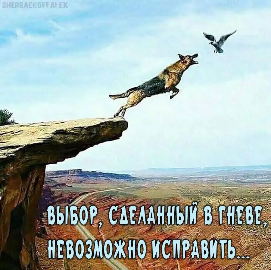 ВЫБОР, СДЕЛАННЫЙ В ГНЕВЕ, НЕВОЗМОЖНО ИСПРАВИТЬ...