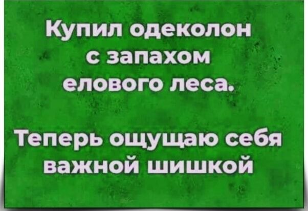 Купил одеколон с запахом елового леса.\nТеперь ощущаю себя важной шишкой