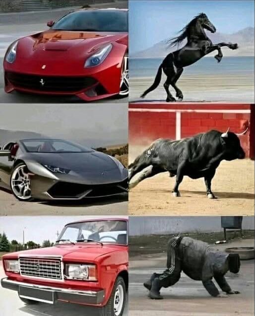 Коллаж из красных и серых авто и диких животных на пляже и в песочном манеже