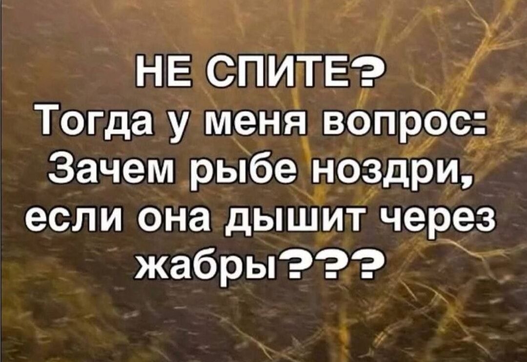 НЕ СПИТЕ? Тогда у меня вопрос: Зачем рыбе ноздри, если она дышит через жабры???