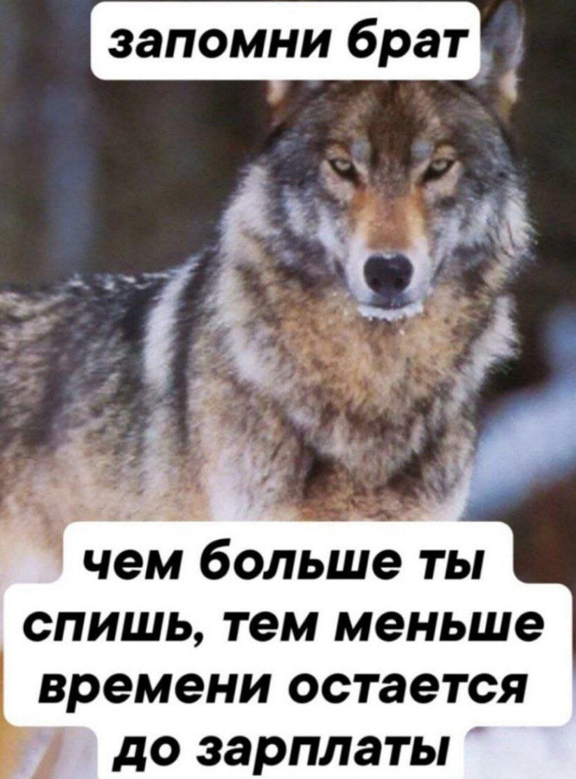 запомни брат чем больше ты спишь, тем меньше времени остается до зарплаты