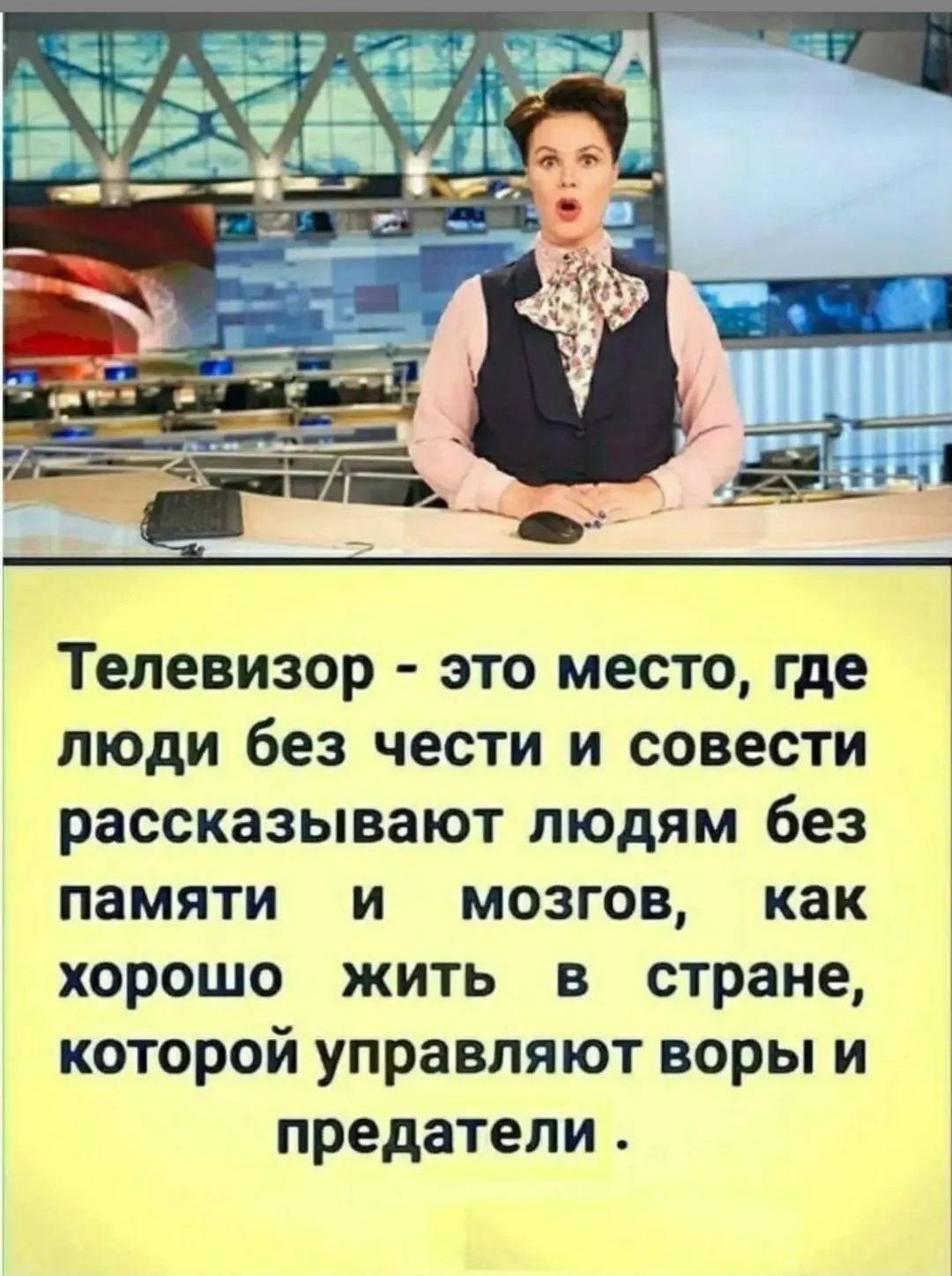 Телевизор - это место, где люди без чести и совести рассказывают людям без памяти и мозгов, как хорошо жить в стране, которой управляют воры и предатели.