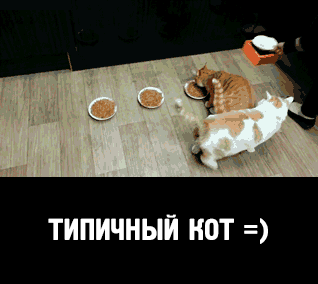 ТИПИЧНЫП НОТ