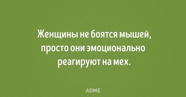 Женщины не боятся мышей просто они эмоционально реагируют на мех АПМЕ