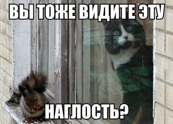 АБ