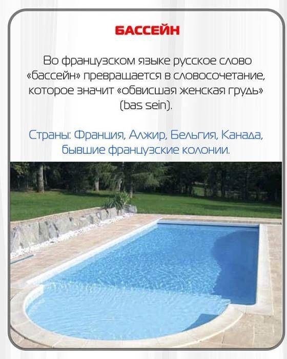 БАССЕЙН Во Французском языке русское сдово бассейн превращается в сАоаосочетание которое значит обвисшая женская груАь Ьа5 БЕіП Страны Франция Аджир БЕАЬГИЯ Канаша бывшие Французские кодонии
