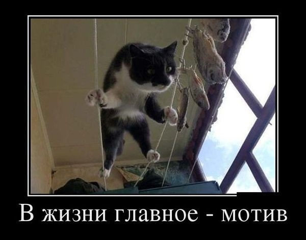 В ЖИЗНИ ГЛЗВНОС МОТИВ