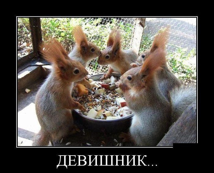 А ДЕВИШНИК