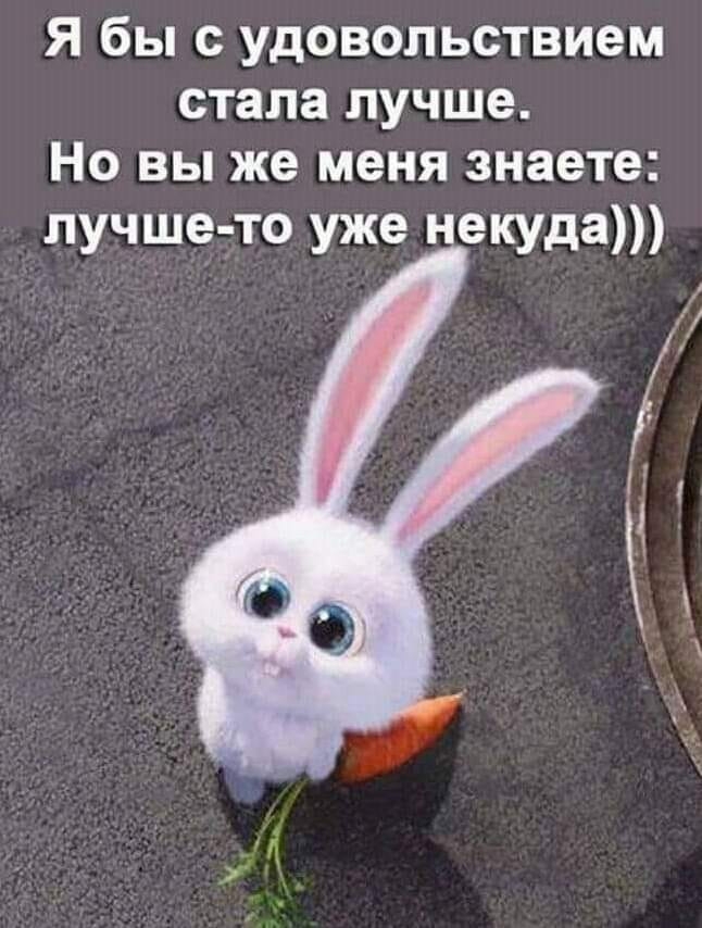 Я бы с удовольствием стала лучше Но вы же меня знаете лучше то уже некуда