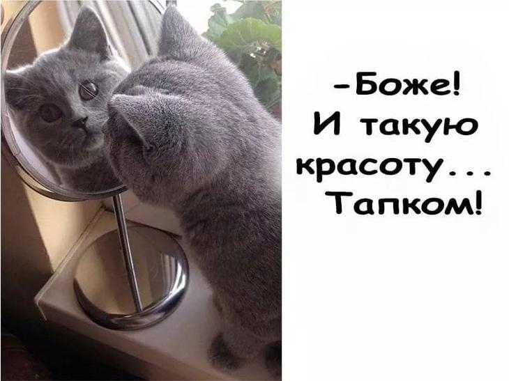 Боже И такую _ красоту Тапком