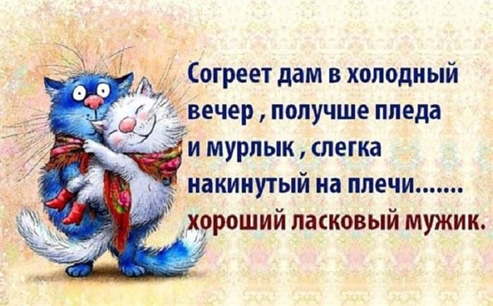 РМ Согреет дам в холодный вечер получше ппеда и мурлык слегка од накинутый на плечи хорошим ласковым МУЖИК