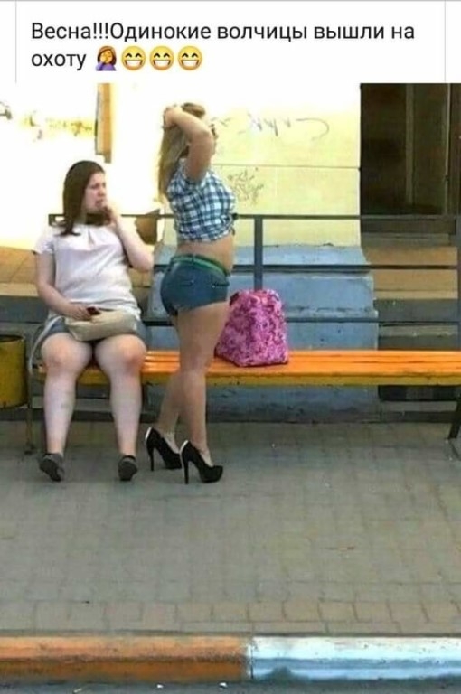 Весна0динокие волчицы вышли на охоту а б 6