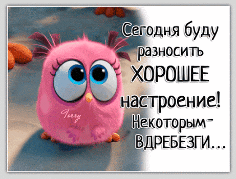 Сегодня буду