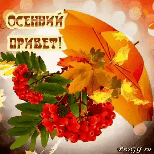 и _вс Ь ппивсм нг ппц