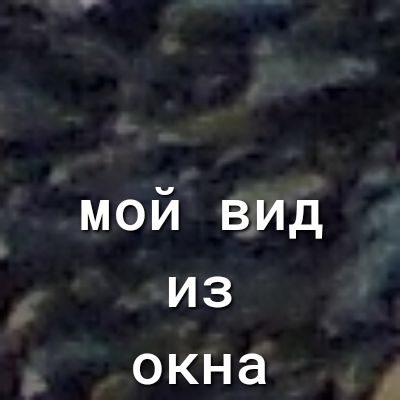 мой вид из окна