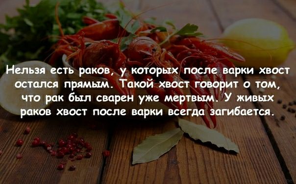 Нельзя есть раков у которых после варки хвост остался прямым Такой хвост говорит о том что рак был сварен уже мертвым У живых раков ХВОСТ после варки всегда ЗОГИбОВТСЯ