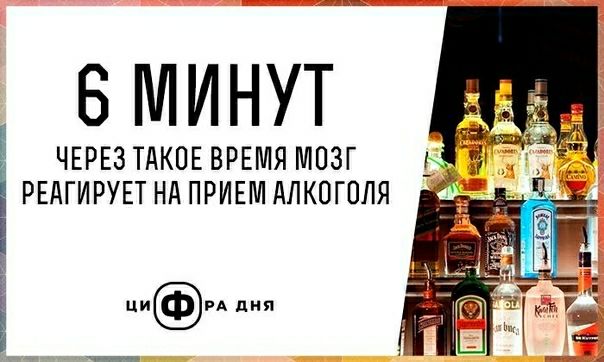 6 МИНУТ ЧЕРЕЗ ТАКОЕВРЕМЯ МОЗГ _ РЕАГИРУЕТ НАПРИЕМ АЛКОГОЛЯ Ё ЦИРА дип