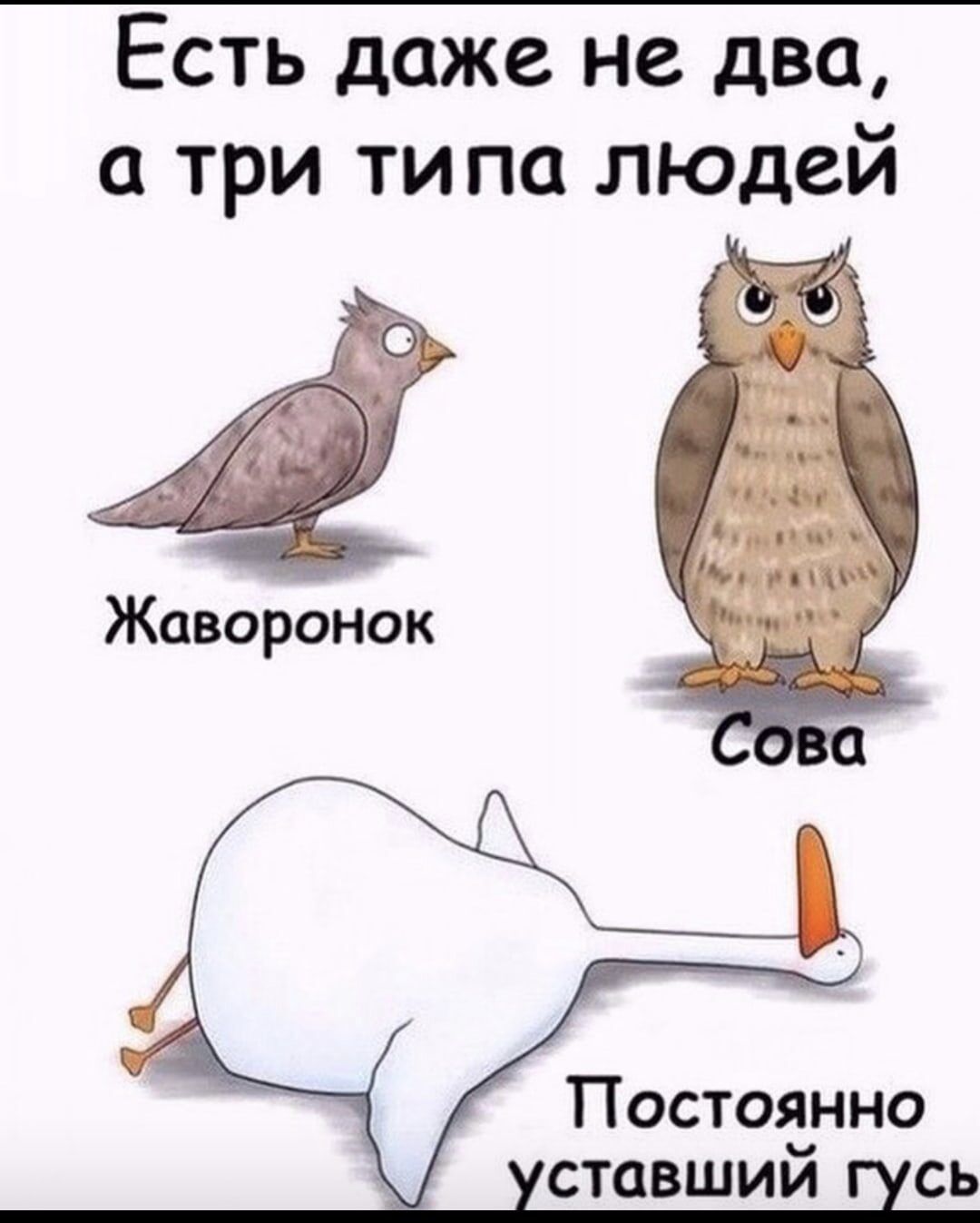 Есть даже не два а три ти па люцей Постоянно ставшим сь