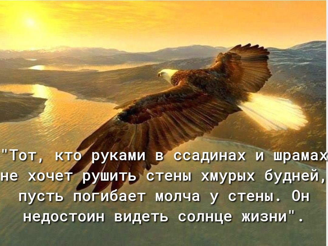 Твт ктрруками в ссадинах и шрама не хвчет рушить стены хмурых будней пусть погибает молча у стены Он недостоин видеть солнце жизни