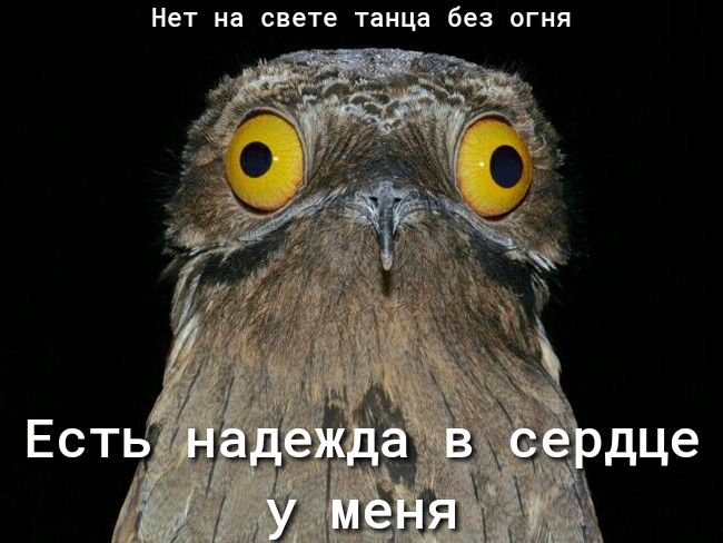 нет на свете тащ без огня
