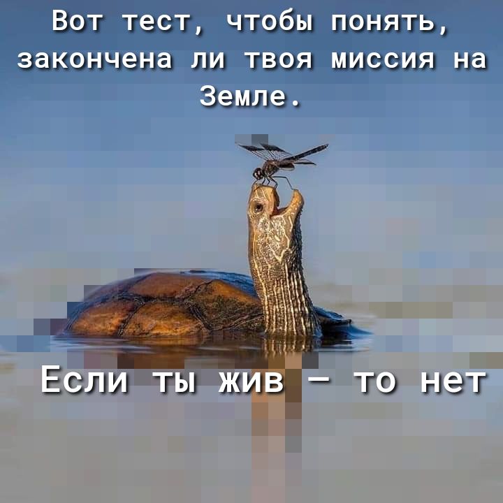 ВОТ ТеСТ чтобы ПОНЯТ ТЭ г ЭГ