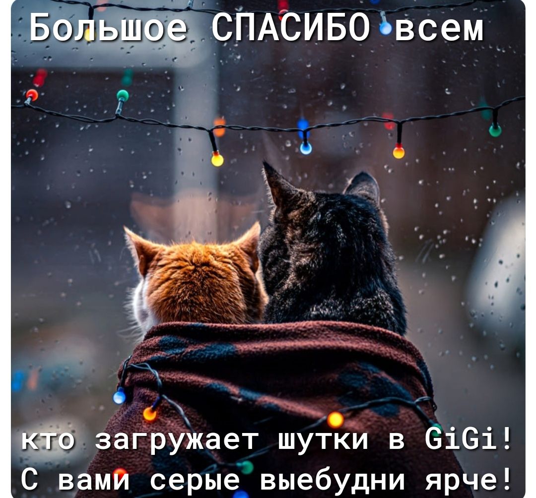 заГружает шутки в 6161 С вами серые_ выебудни ярче