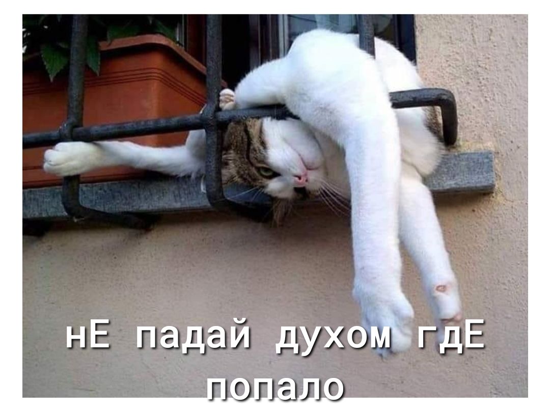 нЕ падай ггХэш Е ПОПЫЛГ