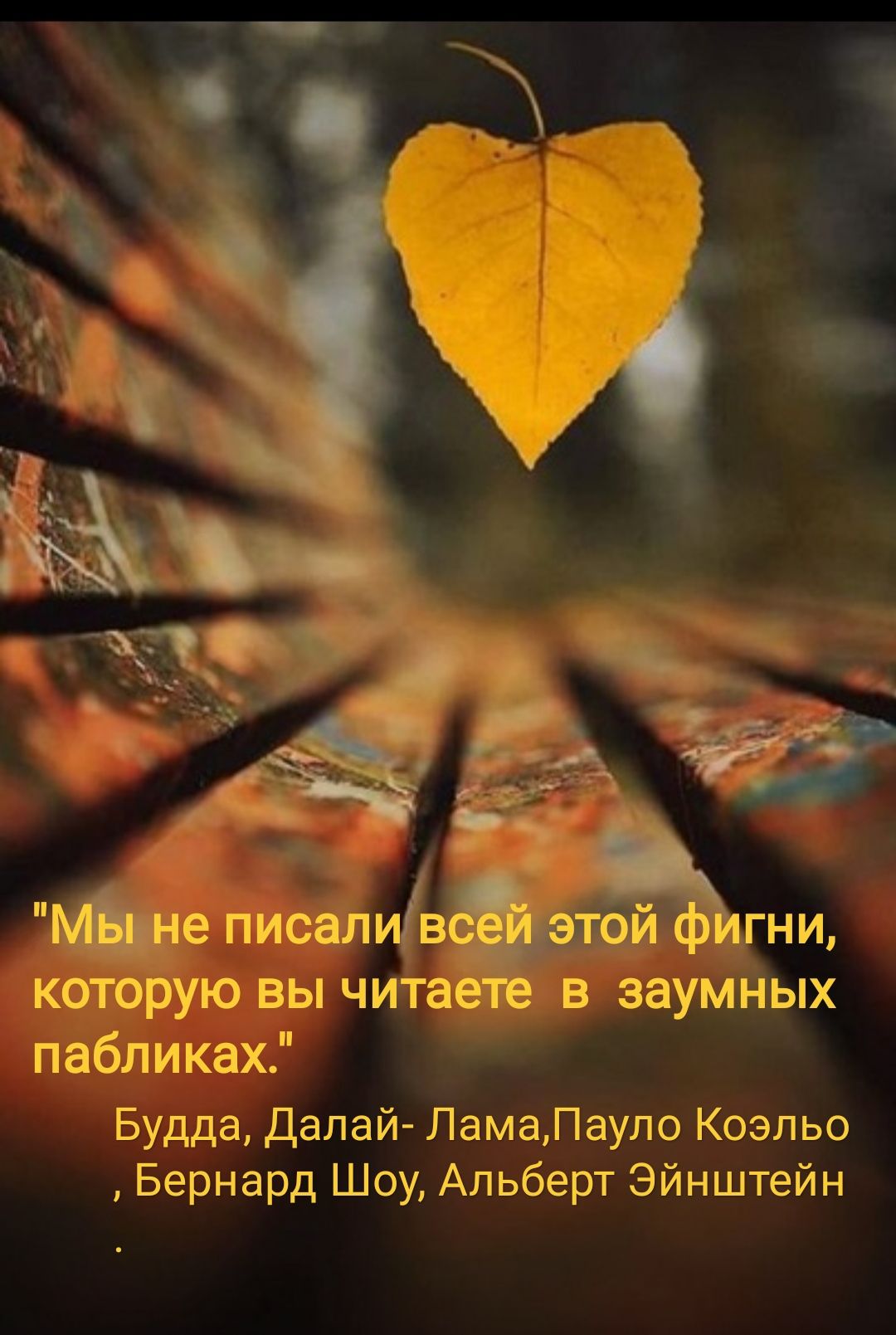 Будда Дапай ПамаЛаудо Ко_зльо Бернард Шоу_ Альберт Эйнштейн