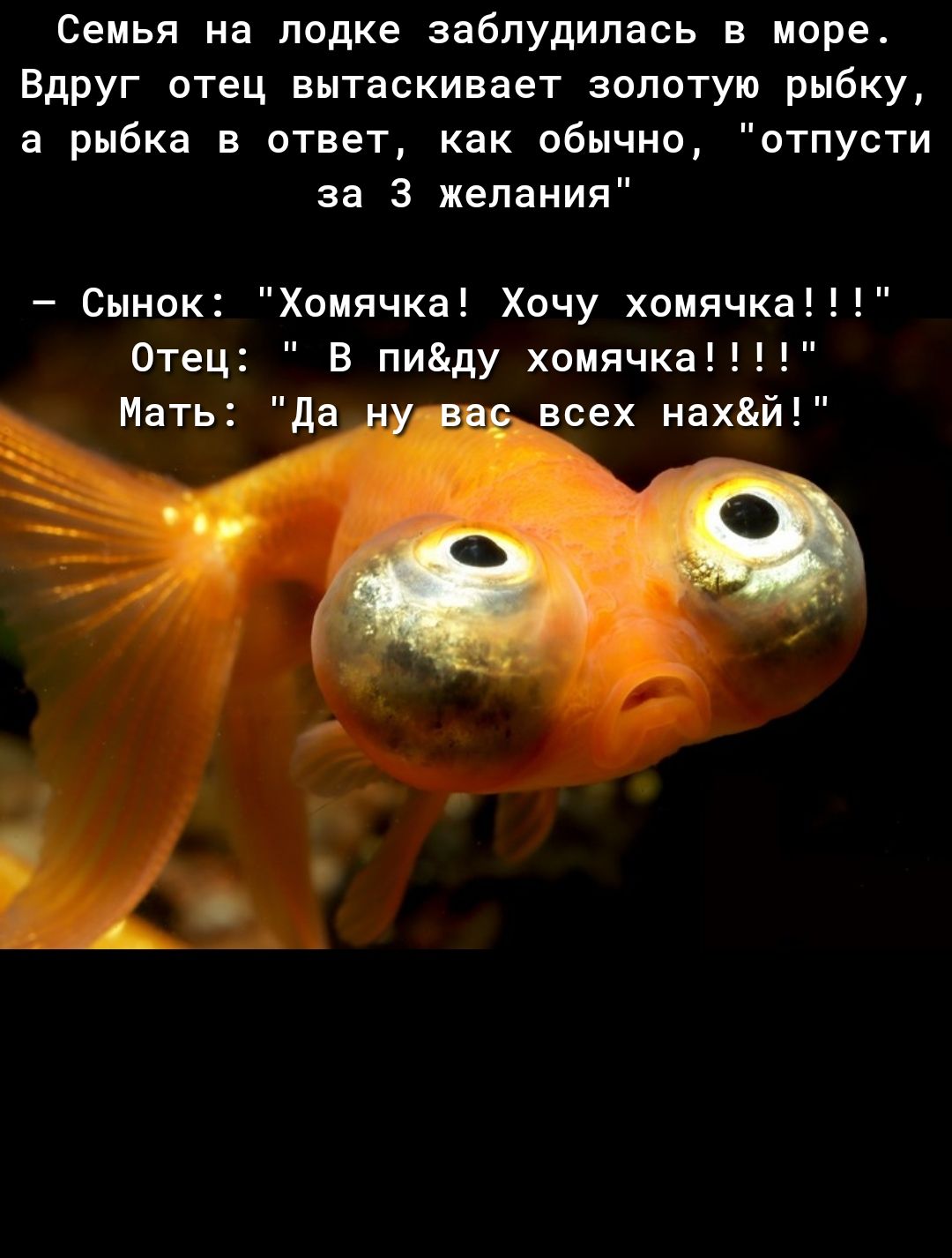 Семья на лодке заблудилась в море Вдруг отец вытаскивает золотую рыбку а рыбка в ответ как обычно отпусти за 3 желания Сынок Хомячка Хочу хомячка Отец В пиду хомячка Мать да всех нахй
