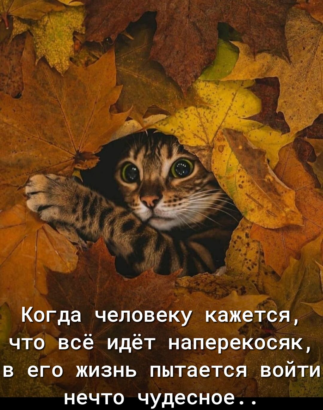 Когда человеку кажется что всё идёт наперекосяк в его жизнь пытается войти нечто чудесное