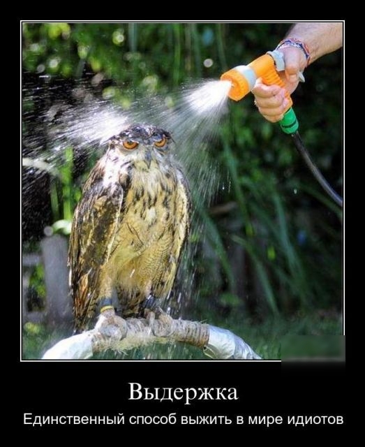 В ыдерж ка ЕДИНСТВЕННЫЙ СПОСОБ ВЫЖИТЬ В МИРЕ ИДИОТОЕ