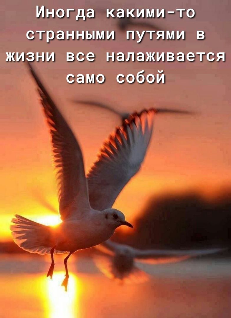 Иногда какимито странными путями в жизни все налаживается само собой