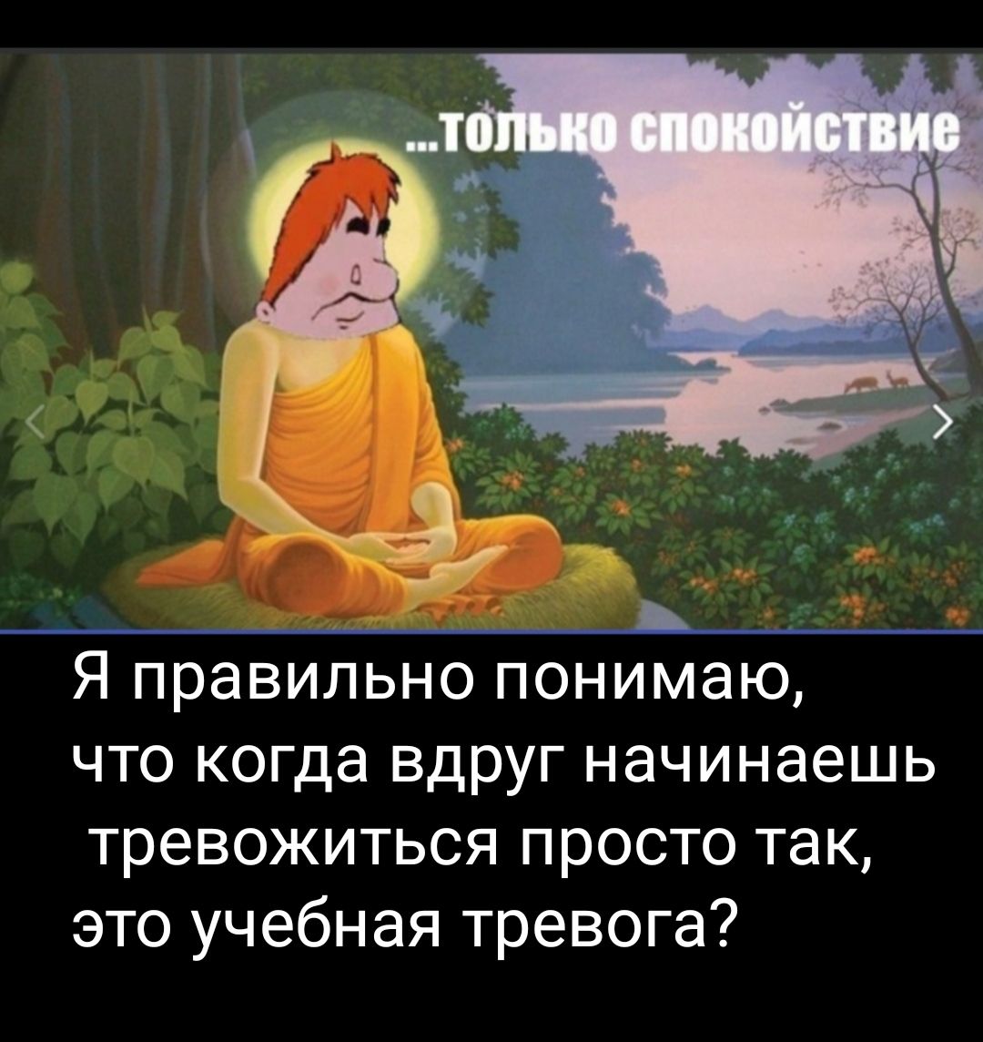 39 Я правильно понимаю что когда вдруг начинаешь тревожиться просто так это учебная тревога