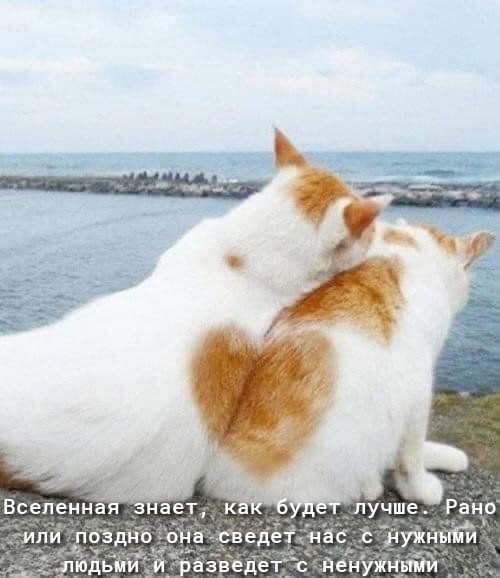 Вселенная з ает к лучше Рано и_ли по_3днп пив сведе ёс дужньтпТл яюдьми и раёеедет с іемужьіьмй