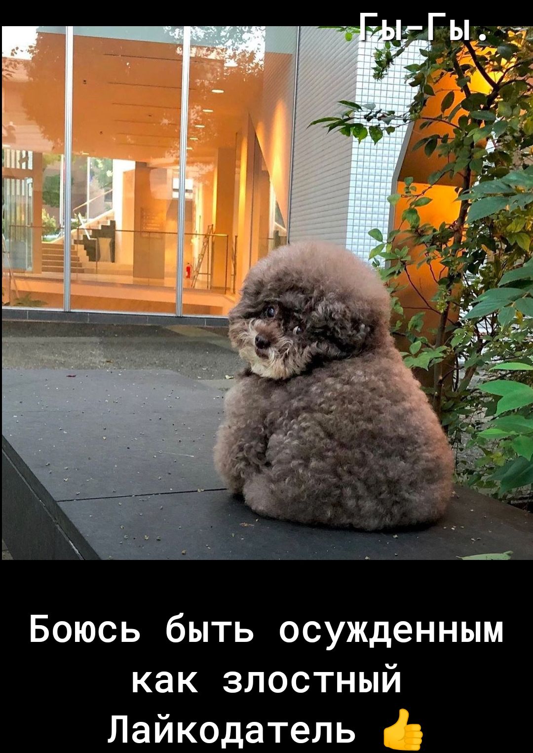 Боюсь быть осужденным как злостный Лайкодатель