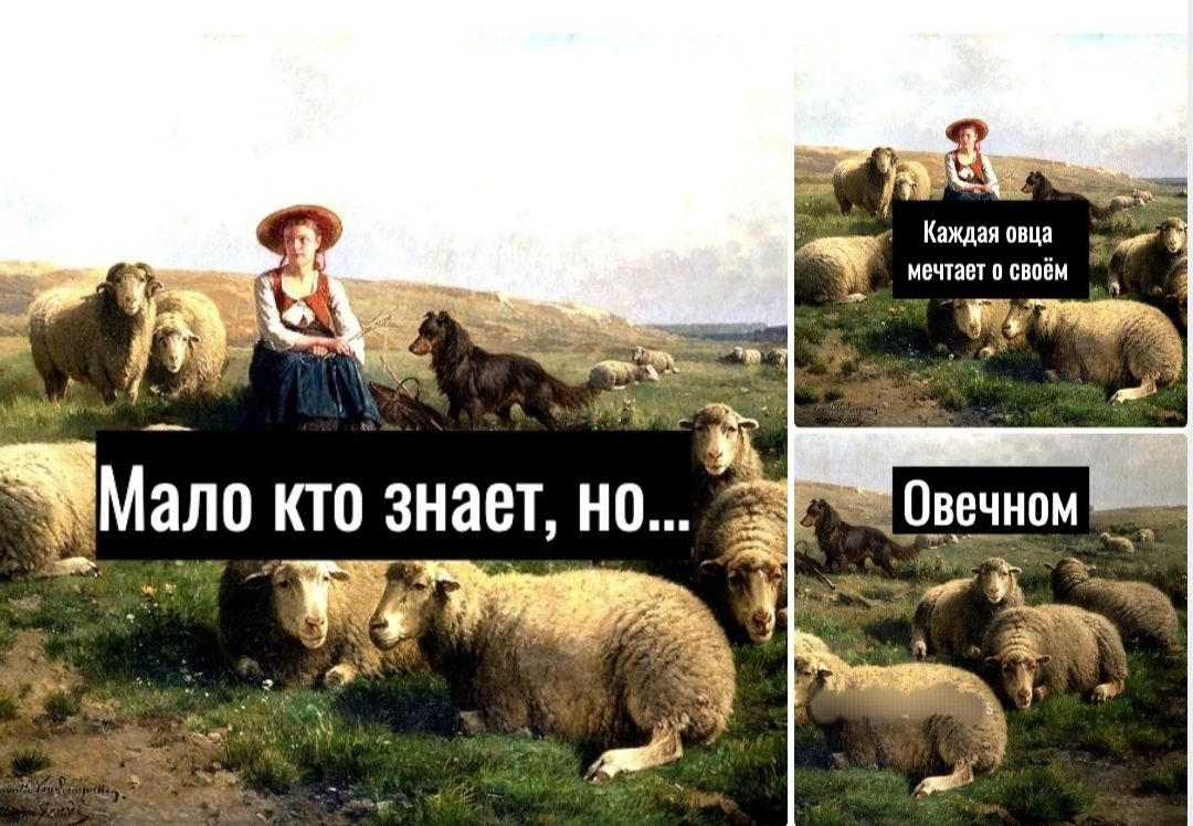 мм _ Мало кто знает но т ттт к