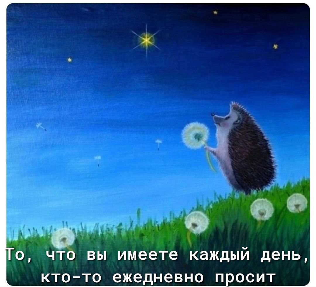 0 0 что вы имеете каждый день ктото ежедневно п осит