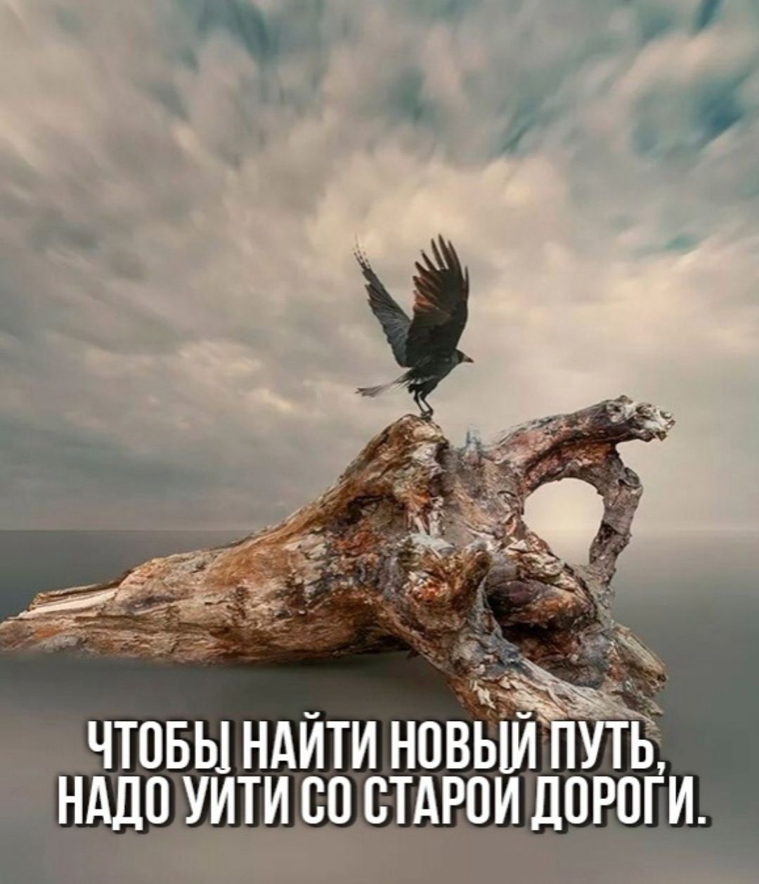 чтоьындити новый Ь исоетдюи дпРШи