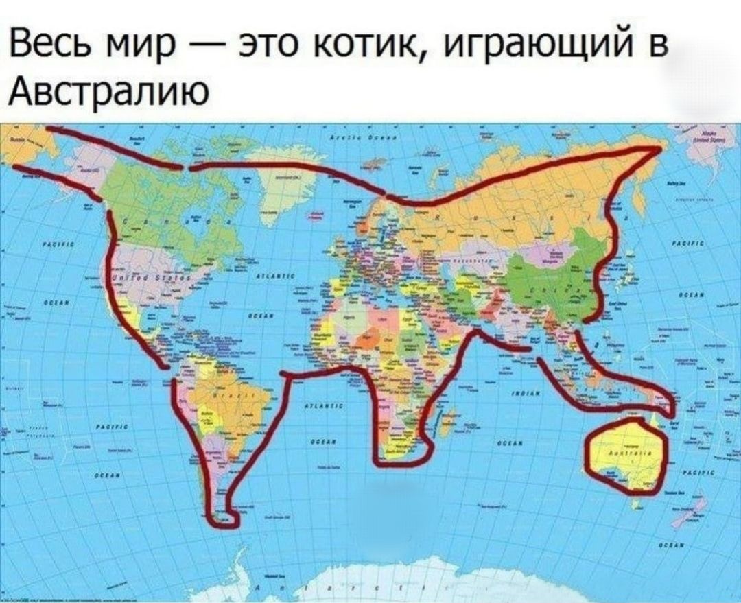 Карта мира это котик