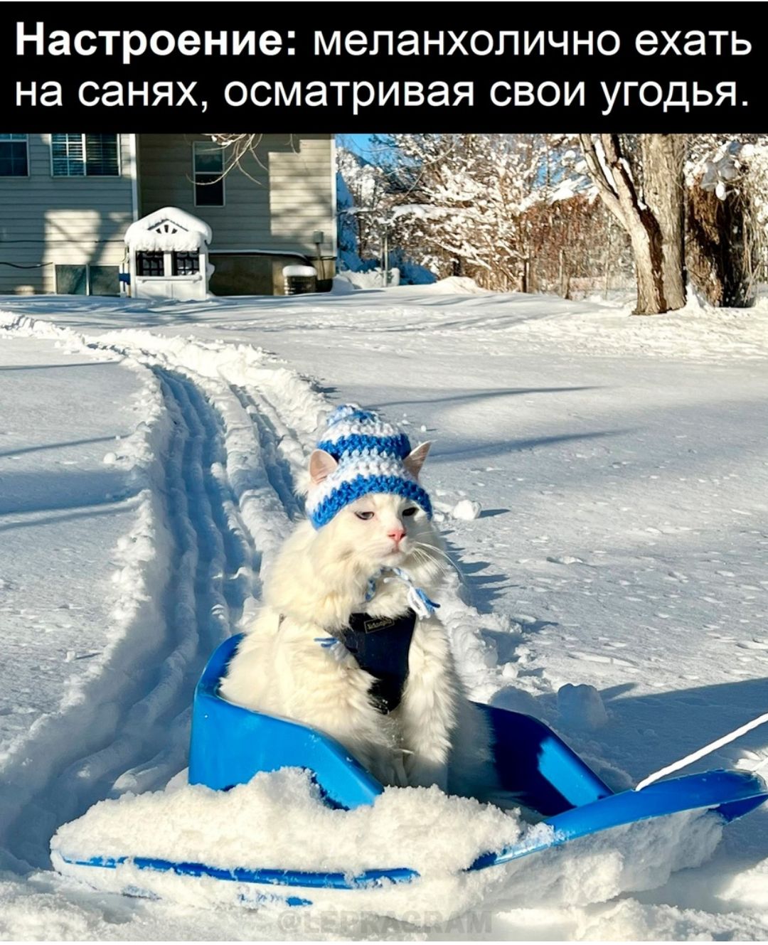 Настроение меланхолично ехать на санях осматривая СВОИ УГОДЬЯ