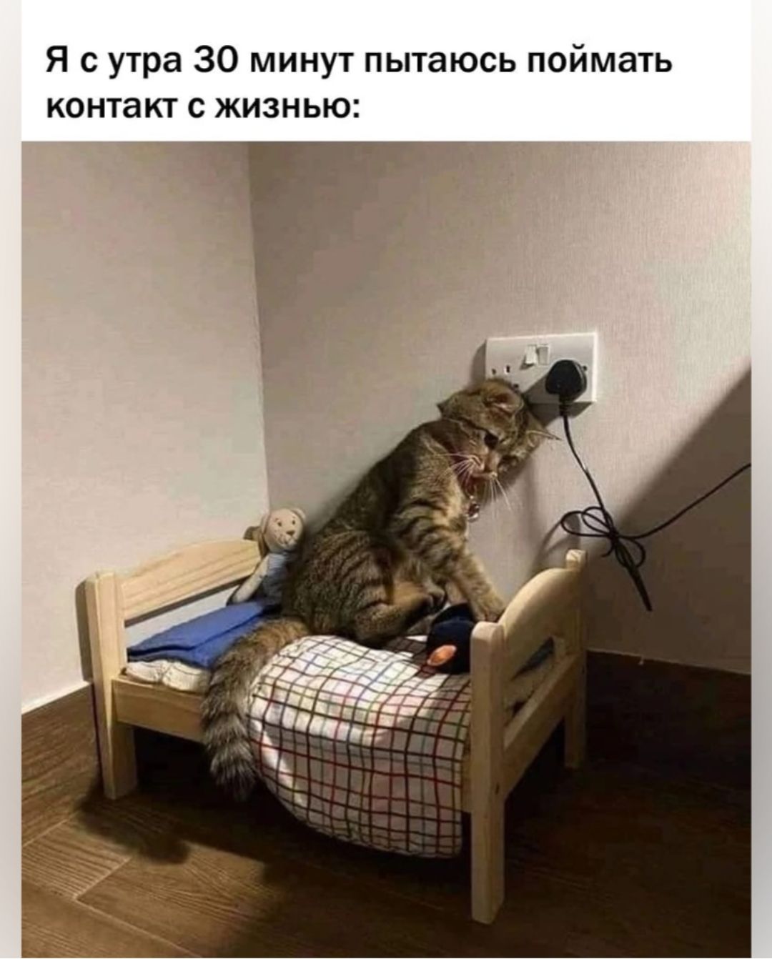 Я с утра 30 минут пытаюсь поймать контакт с жизнью
