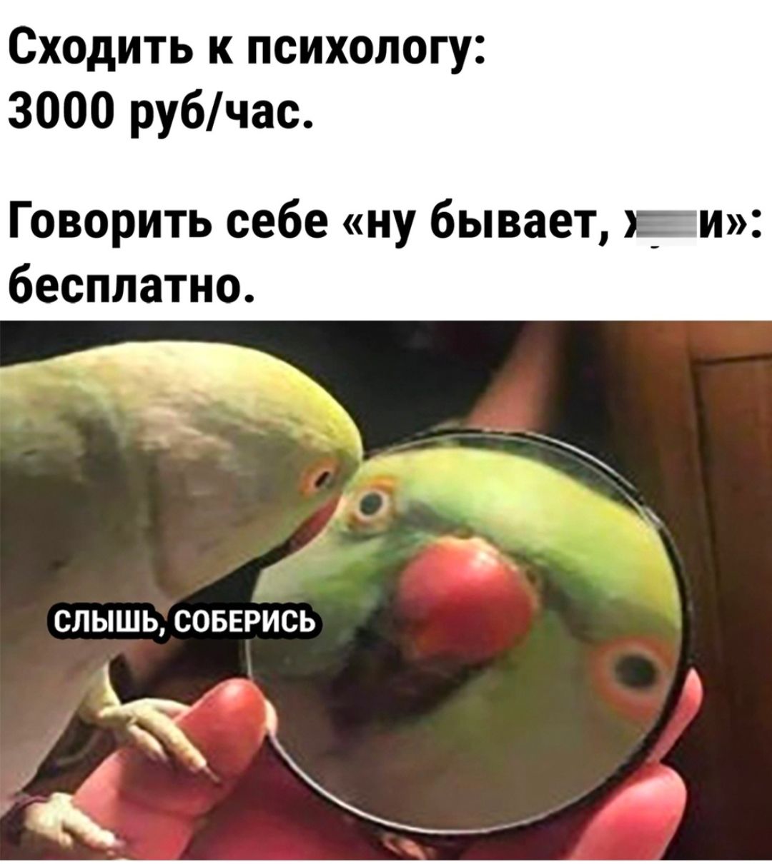 Сходить к психологу 3000 рубчас Говорить себе ну бывает иги бесплатно СЛЫШЬ СОБЕРИСЬ ЁК