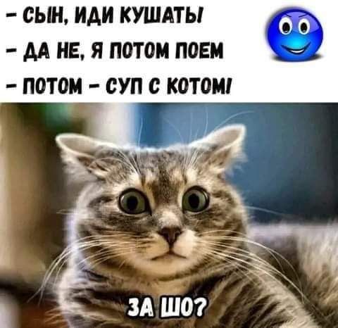 СЫН ИАИ КУШАТЫ М НЕ Я ПОТОМ ПОЕМ ПОТОМ СУП КОМИ