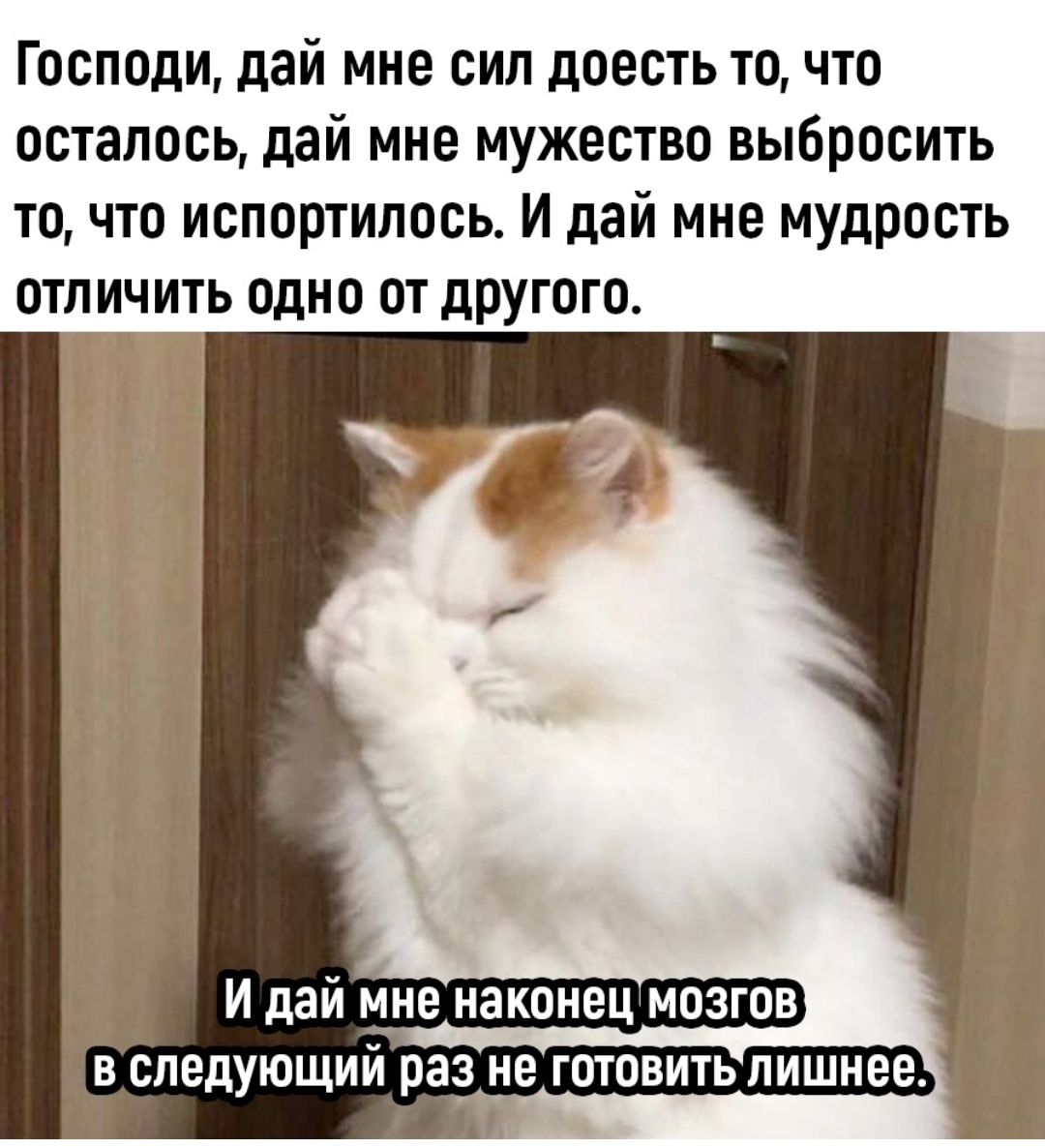 Господи дай мне мудрости отличить. Господи дай мне мужество. Господи дай мне сил. Дай мне мудрость отличить.