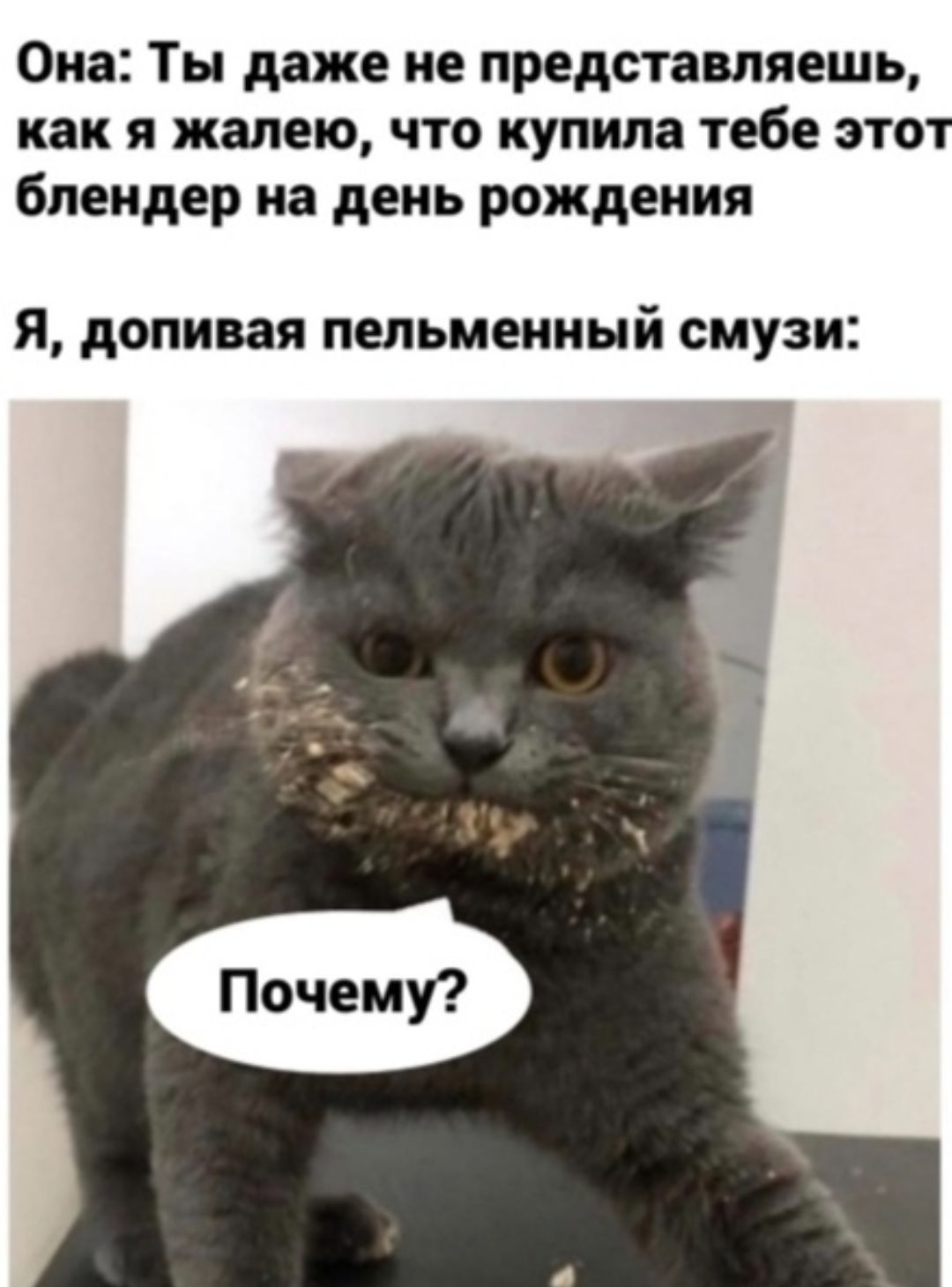 Она Ты даже не представляешь как я жалею что купила тебе этот блендер на день рождения я дОПИМЯ ПЕЛЬМЕННЫЙ смузи