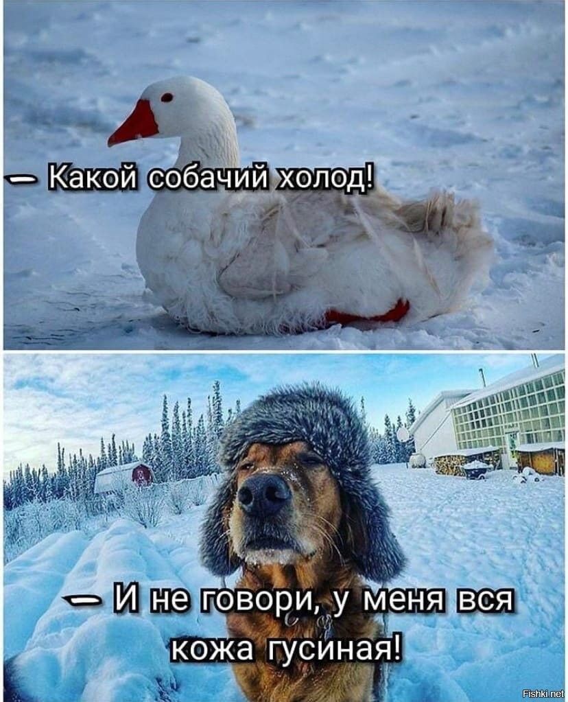 кожа гусИная и