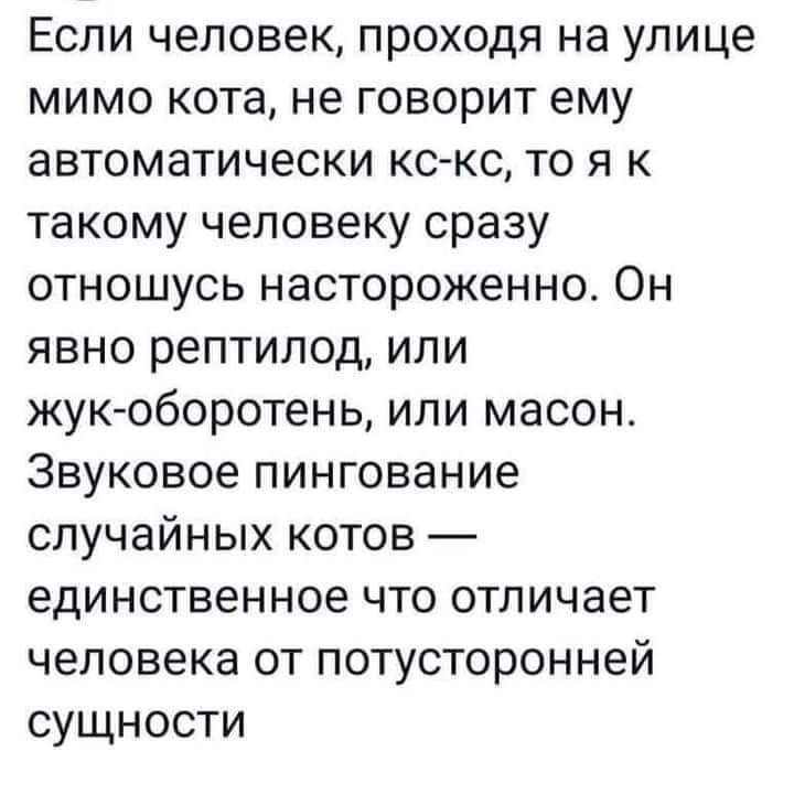 Если человек проходя на улице мимо кота не говорит ему автоматически кс кс то я к такому человеку сразу отношусь настороженно Он явно рептилод или жук оборотень или масон Звуковое пингование случайных котов единственное что отличает человека от потусторонней сущности