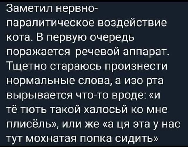 Заметил нервно паралитическое воздействие кота В первую очередь поражается речевой аппарат Тщетно стараюсь произнести нормальные слова а изо рта вырывается что то вроде и тё тють такой халосьй ко мне пписёпь или же а ця эта у нас тут мохнатая попка сидить